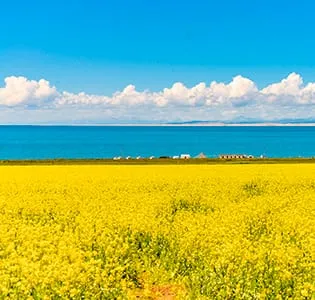 Qinghai Lake — China's largest inland saltwater lake, sapphire of the plateau