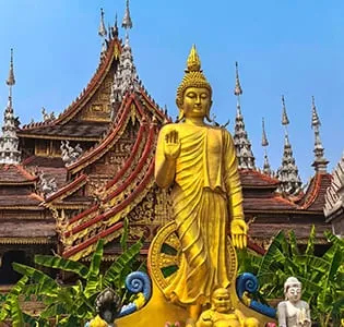 Xishuangbanna — tropical rainforest kingdom, paradise of flora and fauna
